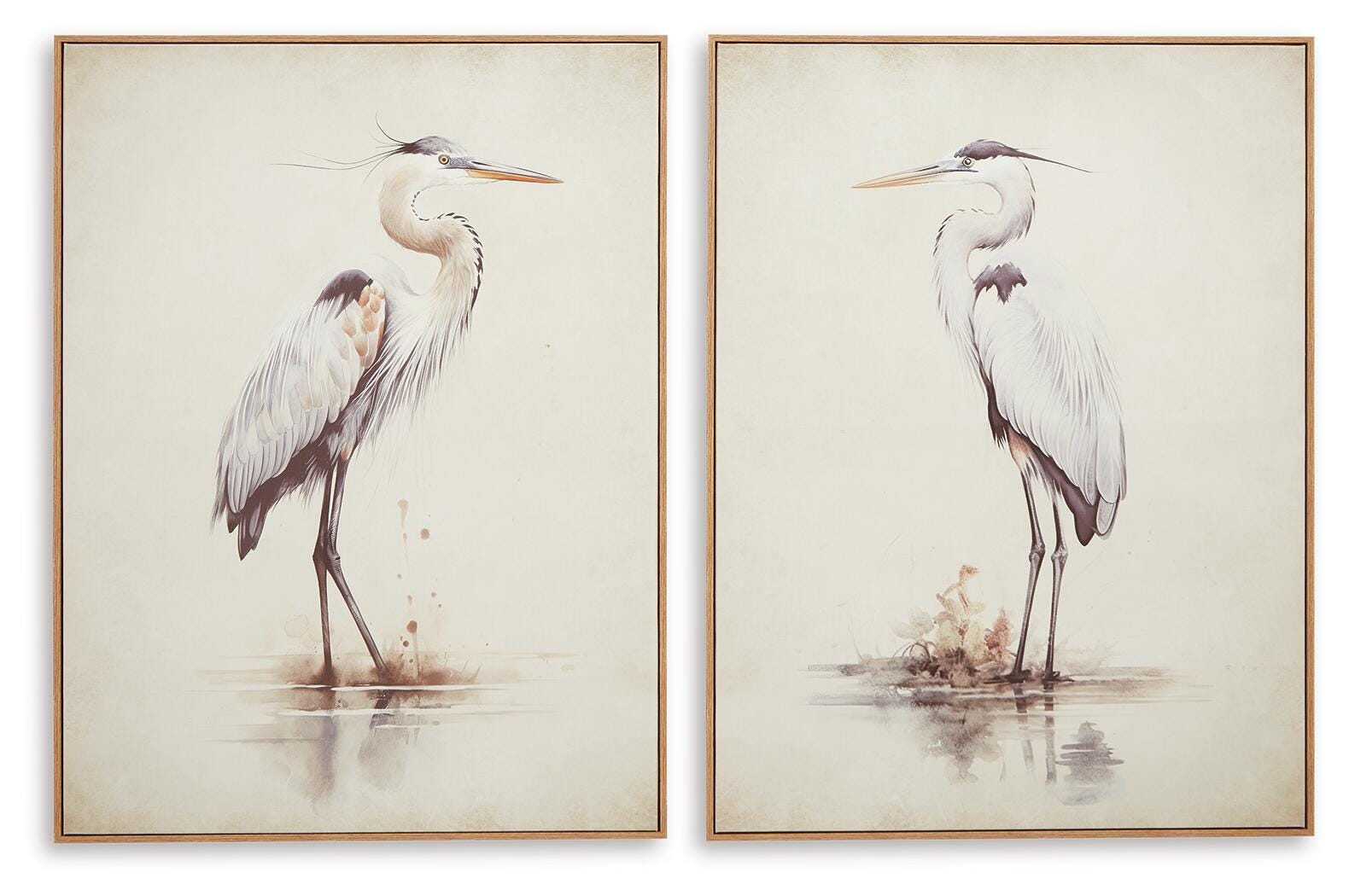 Aubinell Wall Art (Set of 2) (A8000414-SI)