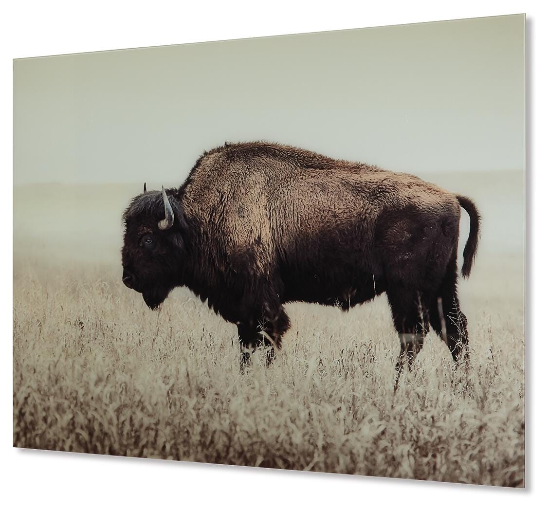 Brutus Wall Art (A8000289-SI) - Image 3