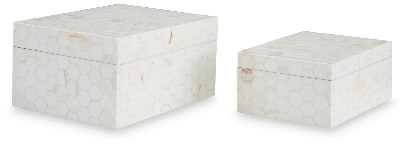 Aldenburg Box (Set of 2) (A2000690-SI)