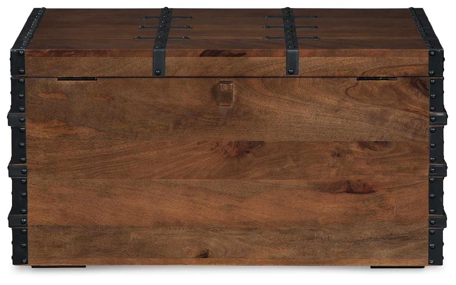 Kettleby Storage Trunk (A4000096-SI) - Image 5