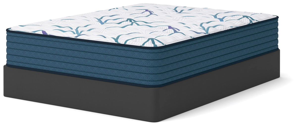 Limited Edition Firm 3.0 California King Mattress (M450-SI) - Image 7