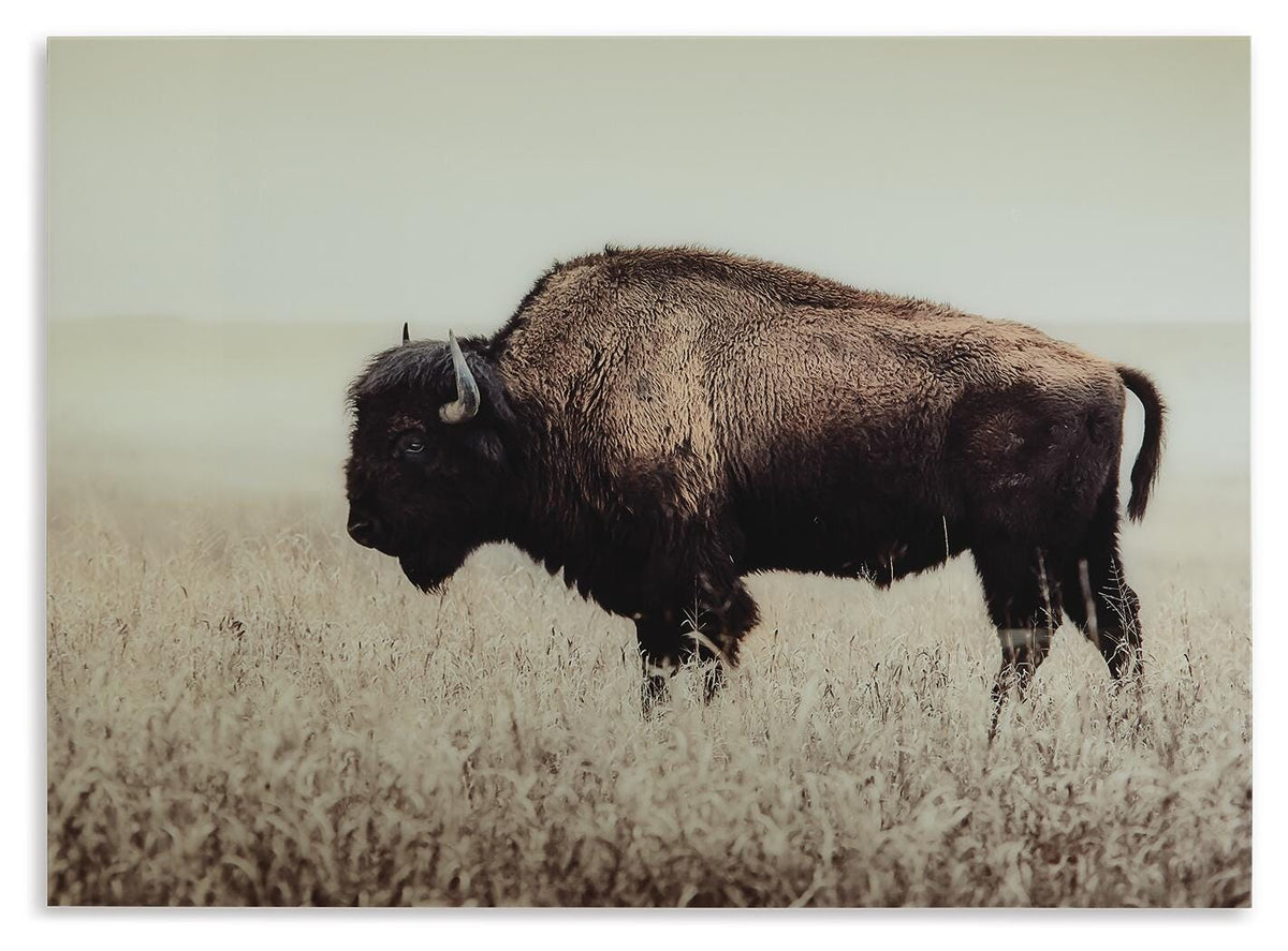 Brutus Wall Art (A8000289-SI)