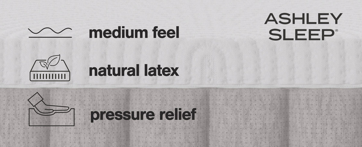 Terra Sleep Medium Queen Mattress (M523-SI) - Image 13